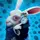 The White Rabbit