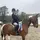 equestrianlife123