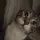 urlocal_trashpanda