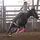 kyn_horses