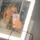 Teegs_thatgirl11