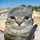 Catdude1