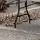 countryscar✝️🦌🦆