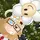 ˖ ˙⊹   daisy !!   ★