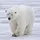 Polarbear🐻‍❄️👍🐠