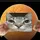 Orangecat🥹🤤🐺🤤✊🍖