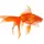 Goldfish