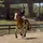 emeillien_eq💕🐴