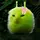 DaCosmicKiwi1623