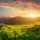 InspirationForYou143