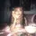 *＊✿❀cece❀✿＊*