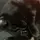 Cat_Gurl