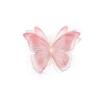 Mini butterfly 🦋-avatar