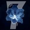 AREM (ER)-avatar