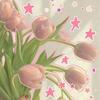 tulips🌷-avatar