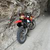 250R_Camden-avatar