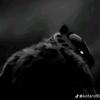 UCVBNMKO TV yt-avatar