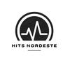 Hits Nordeste-avatar