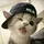 YZ_Zz