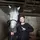 horses_and_me