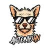 antonio hn-avatar