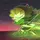 I LOVE WIND ARCHER