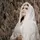 lisa_aljamila [BCR]