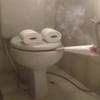 Toilet-avatar