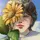 ✿⁠hubinrose✿⁠