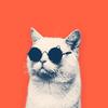 Motii-avatar