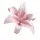 ` lily ! `(inactive)