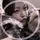 　音瀬 みな
