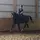 ☆ GAD_ Equestrian ☆