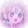 # 月茱 葵花໒꒱