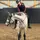 LB.Equestrian