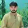 Hamas Ali Shah
