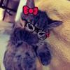 ྀི…😻-avatar