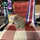 🏆🐰~{ Taylor }~ 🐶🏆