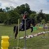 ~°Emma&les chevaux°~-avatar