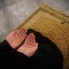 انا مجنون الحسین ع-avatar