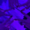 ⭐️💋🥵𝒴/𝓃 𝒫𝒪𝒱𝓈 💅🏼🤗👑-avatar