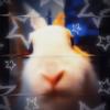 ִֶָ𓂃 ࣪ ִֶָ🐇་༘࿐ྀིྀི𝚂𝙸𝙻𝙻𝚈 𝙶𝙾𝙾𝙱𝙴𝚁-avatar
