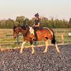 Gallop.eq-avatar