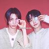 명프 모아 𝒁𝒆𝒓𝒐𝒔𝒆42💚-avatar