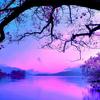 Pure In Faith-avatar