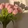 Aisy_07