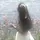 Elliess.cc