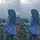 — yumi [GM]