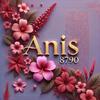 Anis8790-avatar