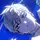 ☆pl4tiinum☆ 